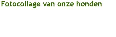 Tekstvak: Fotocollage van onze honden