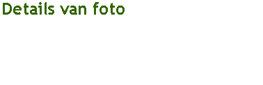 Tekstvak: Details van foto
